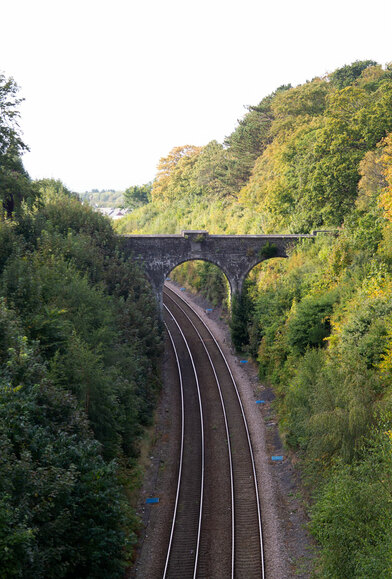 Railway goes under the bridge with trees on the side