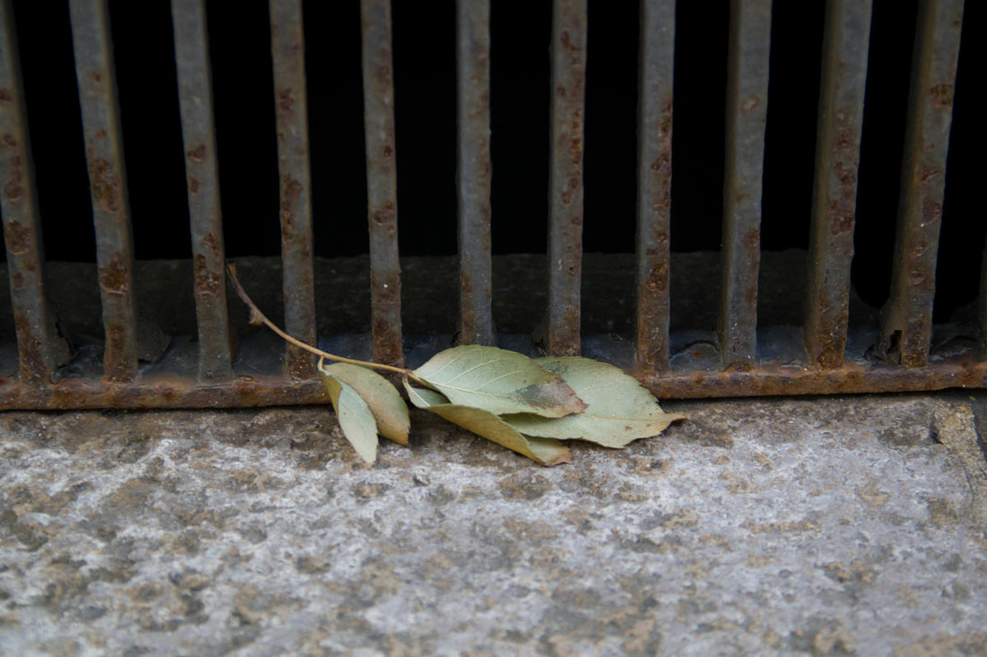 Leaves sit on the floor in front of a rusted drain cover.