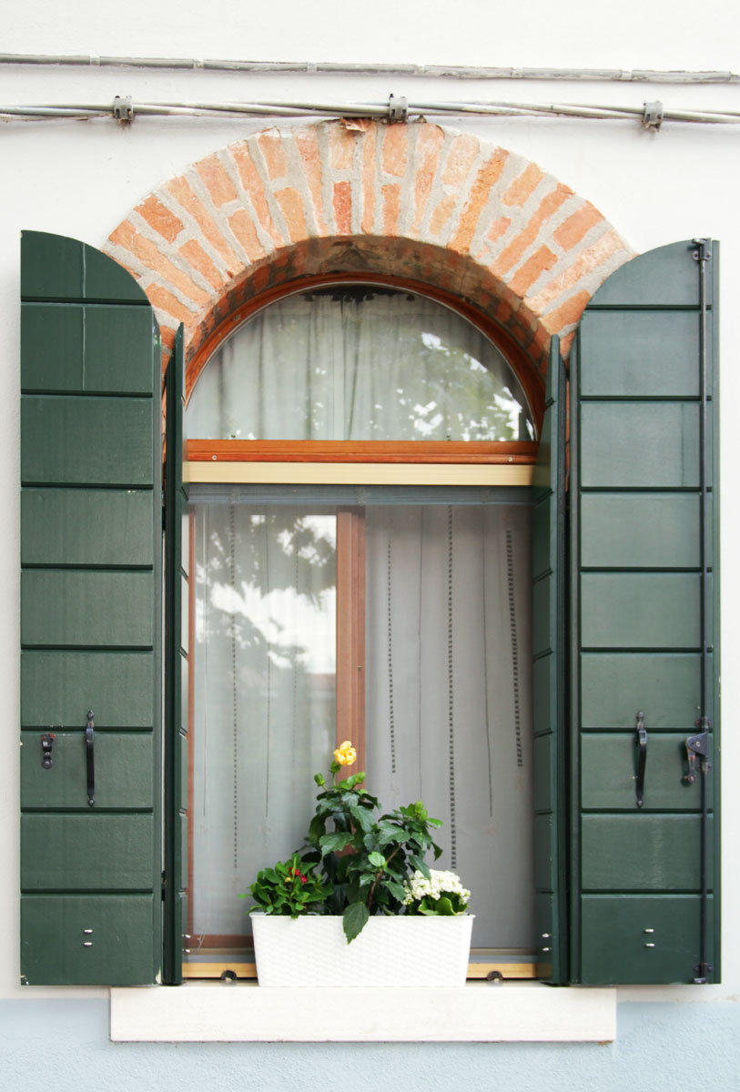 A plant sits outside of a window with brick frame and green wooden shutters.