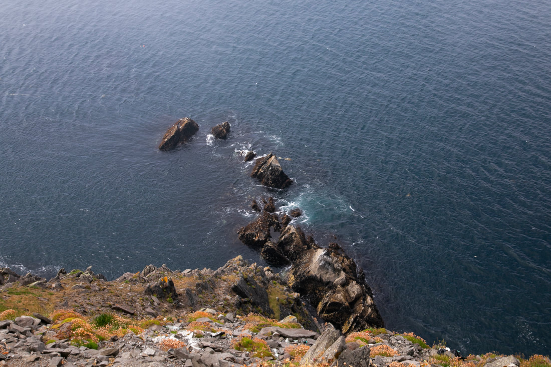 A line of rocks pops out on the surface of the sea on the coastline. 